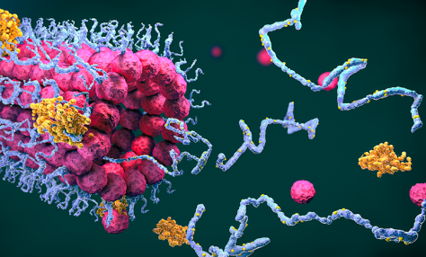 DeepMind objavil štruktúru takmer každého známeho proteínu