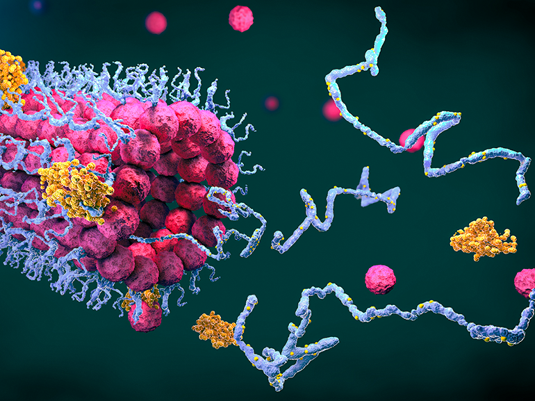 DeepMind objavil štruktúru takmer každého známeho proteínu
